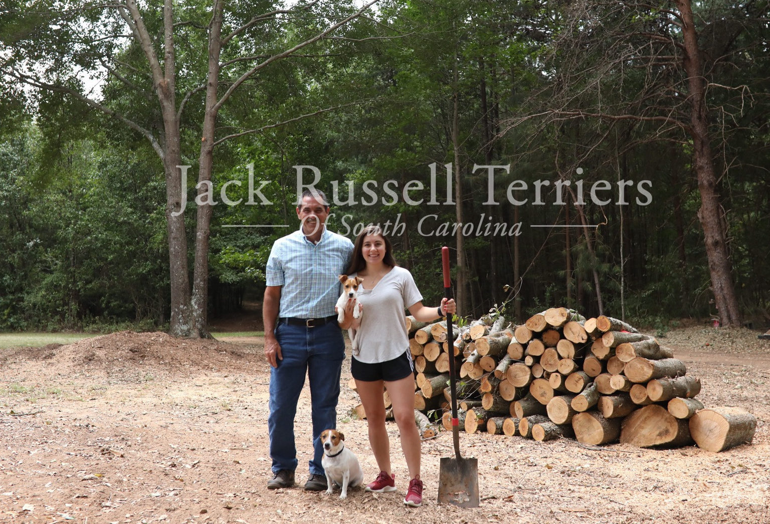 Jack Rushing Sc Contact Us | Jack Russell Terriers of SC