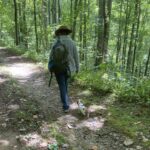 Jack Russell puppies for sale in South Carolina