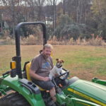 smooth coat JRT puppies