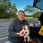 Smooth coat Jack Russell Terrier puppies for sale