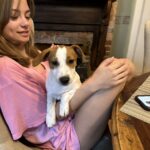 Jack Russell Terrier puppy for sale from a South Carolina breeder