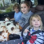 Jack Russell Terrier puppy for sale from a South Carolina breeder