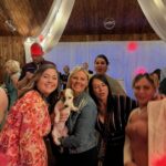 Smooth coat Jack Russell Terrier puppies for sale